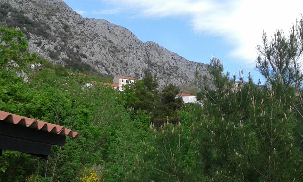 Charismatic Garden Cottage With Sea View Lokva Rogoznica Exteriér fotografie