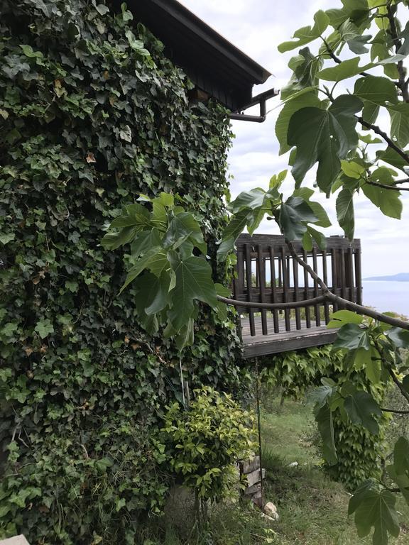 Charismatic Garden Cottage With Sea View Lokva Rogoznica Exteriér fotografie